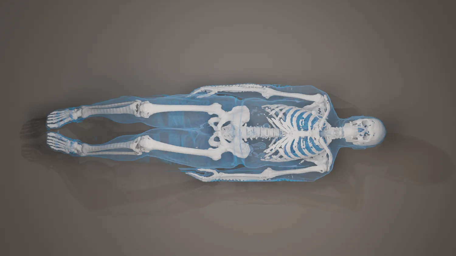 Blue transparent 3D full body rendering