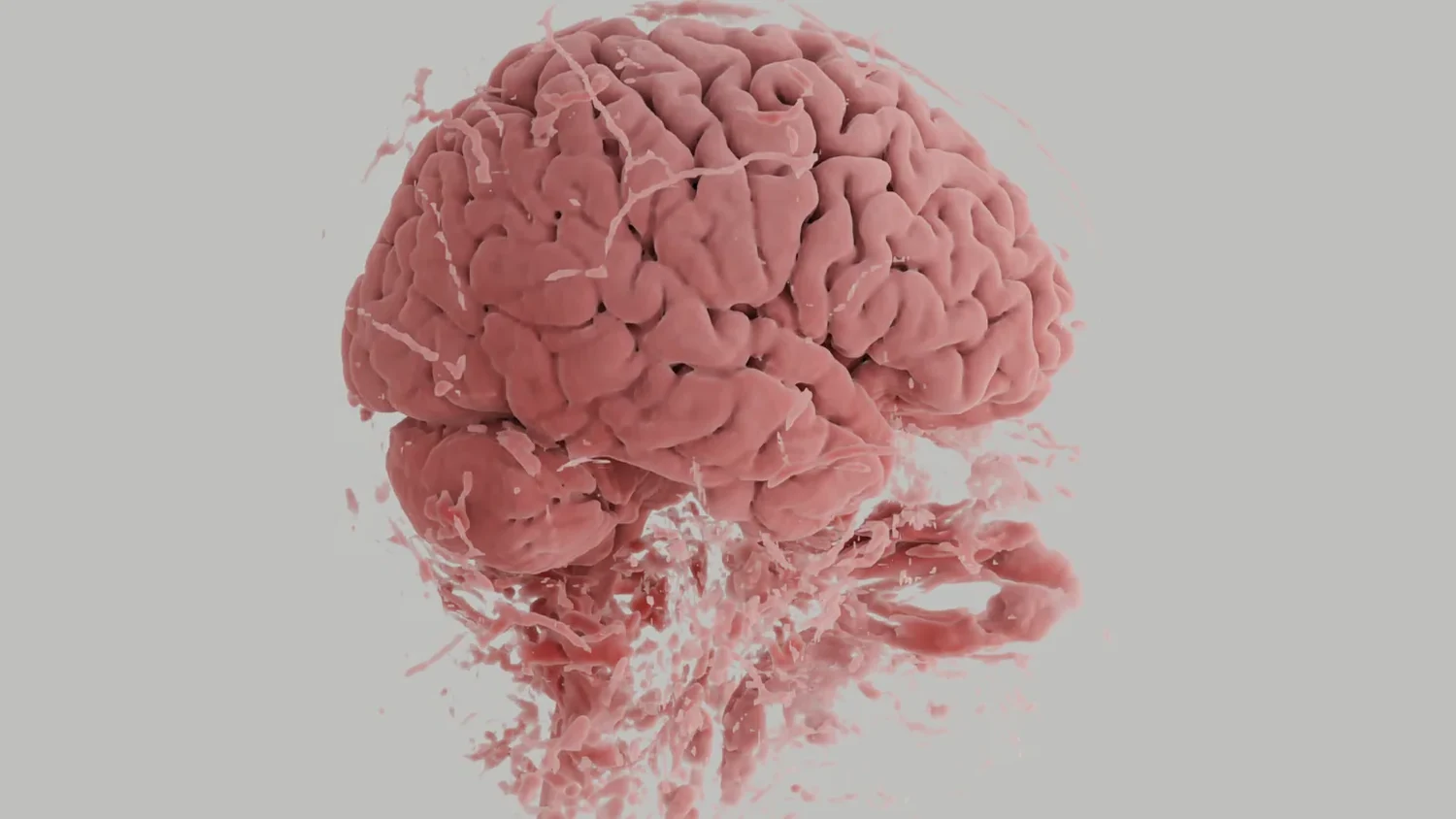 Detailed brain 3D rendering rotated clockwise